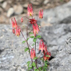 Meet your Posher, fashiondirect11